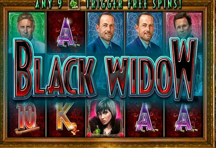 Secure Spinmill Casino Login Process & Banking Information.